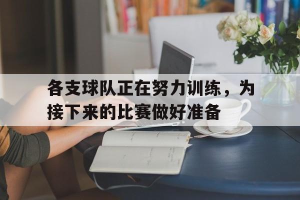 各支球队正在努力训练，为接下来的比赛做好准备
